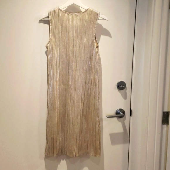Metallic Dress - S - Picture 3 of 5